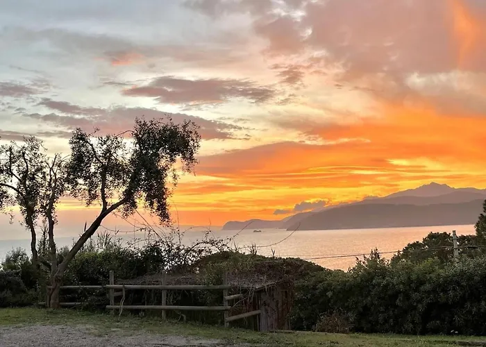 Les Bouganvilles By Colombielbavacanze - Colibri 2 アパート Trappola