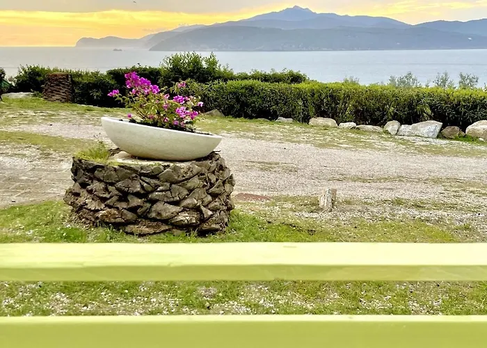 Apartamento Les Bouganvilles By Colombielbavacanze - Colibri 2 Trappola