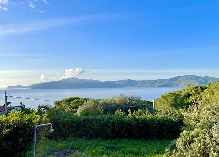 Les Bouganvilles By Colombielbavacanze - Colibri 2 Trappola