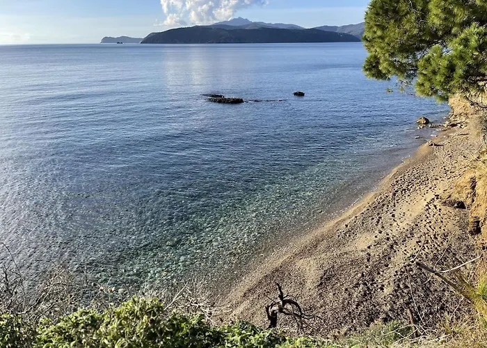 Les Bouganvilles By Colombielbavacanze - Colibri 2 *