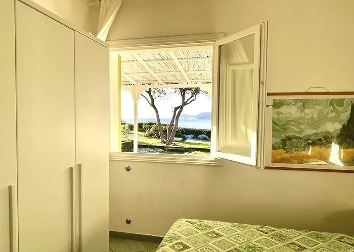 Les Bouganvilles By Colombielbavacanze - Colibri 2 * Trappola