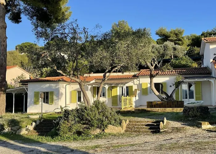 Les Bouganvilles By Colombielbavacanze - Colibri 2 Trappola