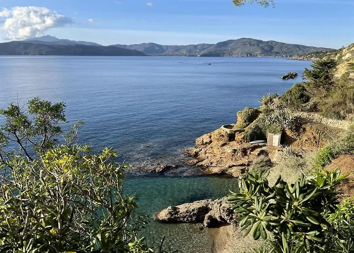 Les Bouganvilles By Colombielbavacanze - Colibri 2 Trappola