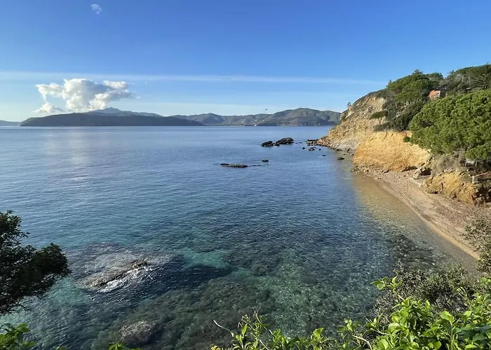 Les Bouganvilles By Colombielbavacanze - Colibri 2 Trappola